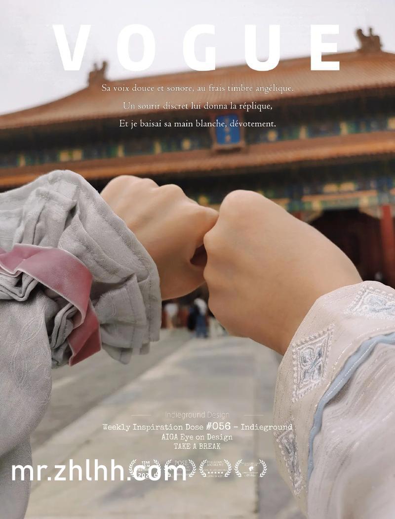 lutube下载苹果版youtube下载电脑版2024最新版本app-第2张图片-太平洋在线下载