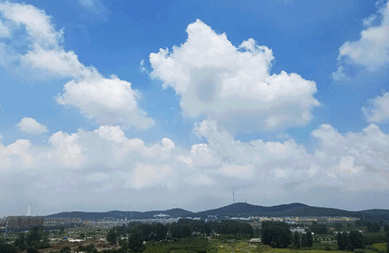 安卓版动态天空天空tvapk安装包最新版