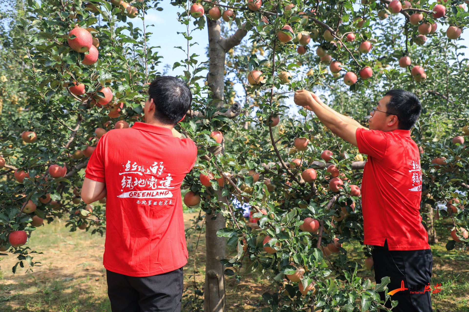 安徽扶贫苹果版安徽省扶贫网官网-第2张图片-太平洋在线下载 安徽扶贫苹果版安徽省扶贫网官网-第2张图片-太平洋在线下载