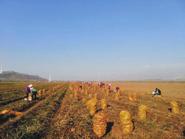 什么是土豆客户端土豆app聊天软件-第2张图片-太平洋在线下载